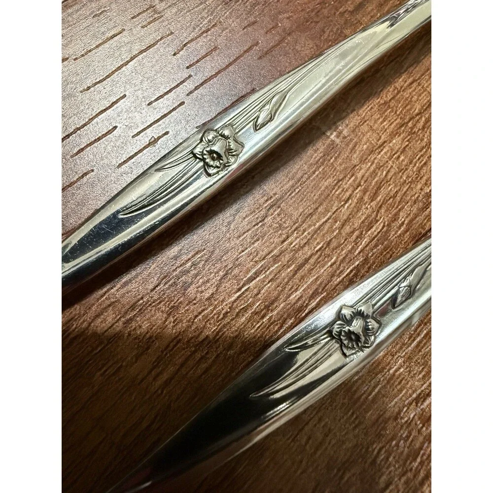 1847 Rogers Bros Stainless SPRING CHARM Cheese Serving Spoons Lot Of 2